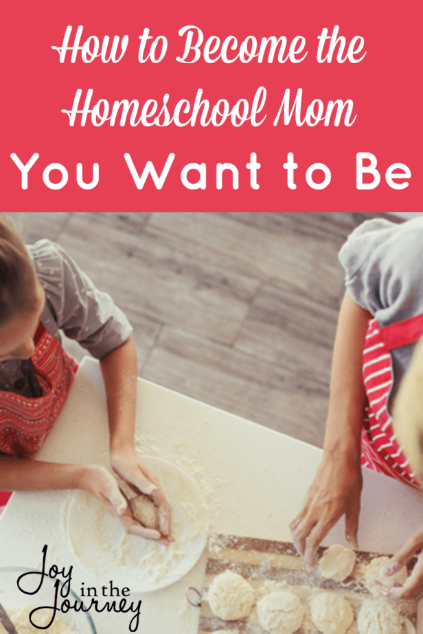 The Homeschool Mom I Want to Be - Joy in the Journey