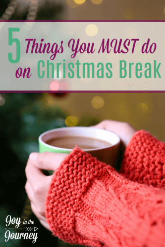 5-things-you-must-do-on-christmas-break-joy-in-the-journey